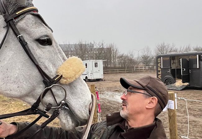 Hast_stora_djur_arlov_malmo_osby_veterinar_he-vet